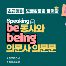 [초급]be동사와 being 의문사 의문문